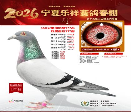 ���������վ��177��