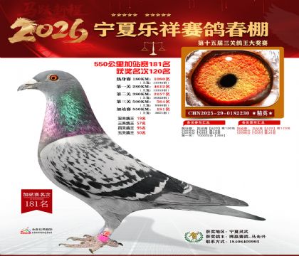 ���������վ��181��