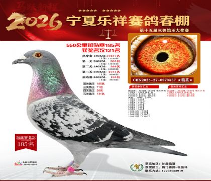 ���������վ��185��