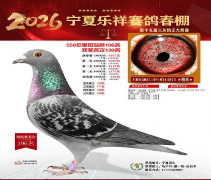 ���������վ��196��