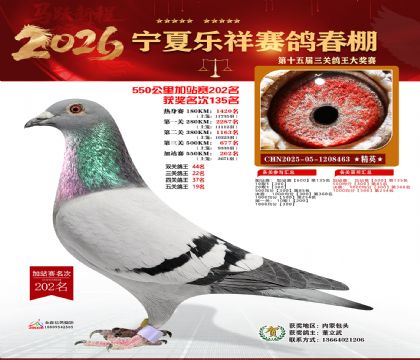 ���������վ��202��