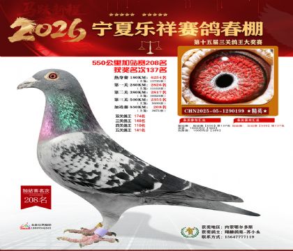 ���������վ��208��