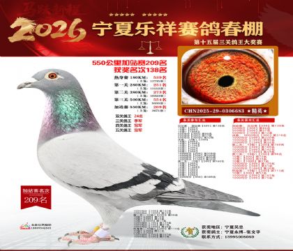 ���������վ��209��