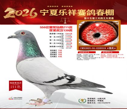 ���������վ��211��