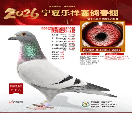 ���������վ��216��