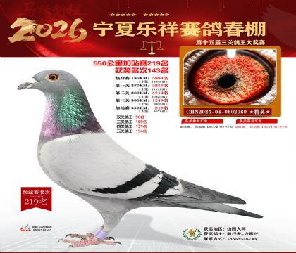 ���������վ��219��