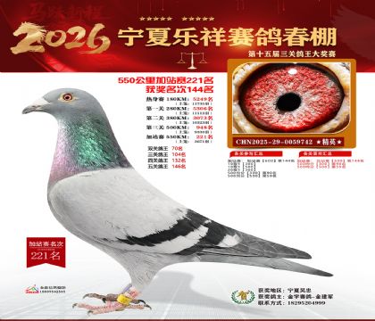 ���������վ��221��