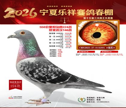 ���������վ��224��