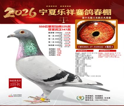 ���������վ��225��