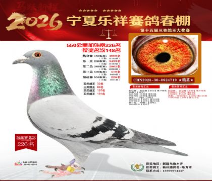 ���������վ��226��