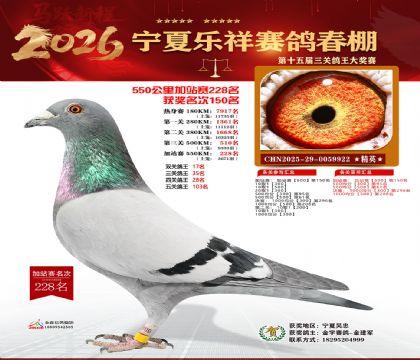 ���������վ��228��