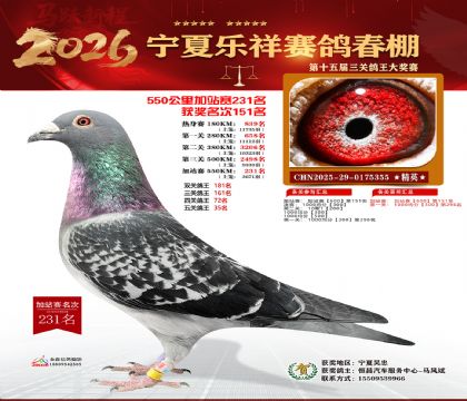 ���������վ��231��