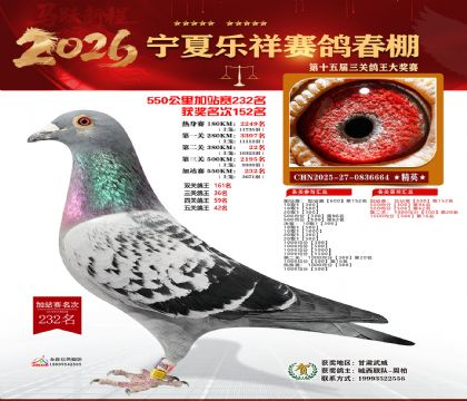 ���������վ��232��