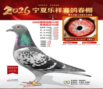 ���������վ��233��