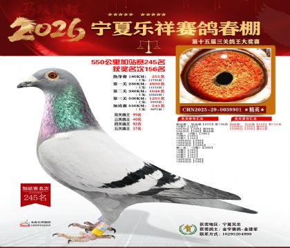 ���������վ��245��