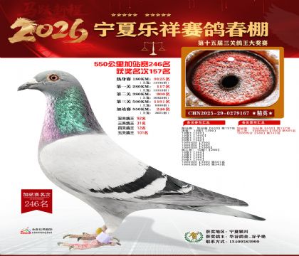 ���������վ��246��