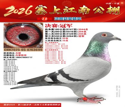 ���Ͻ��Ͼ����ھ�