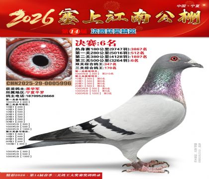 ���Ͻ��Ͼ���6��