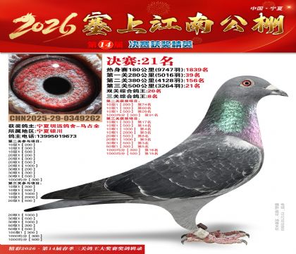 ���Ͻ��Ͼ���21��