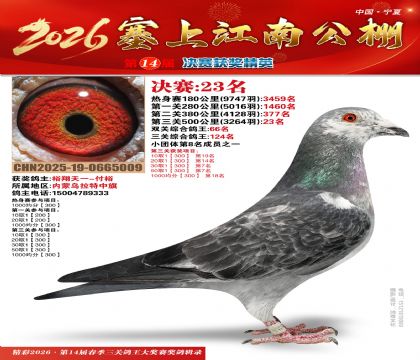 ���Ͻ��Ͼ���23��