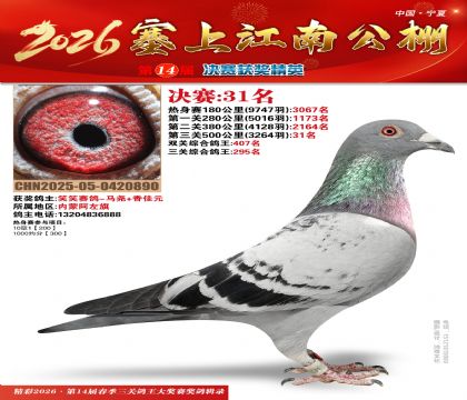 ���Ͻ��Ͼ���31��