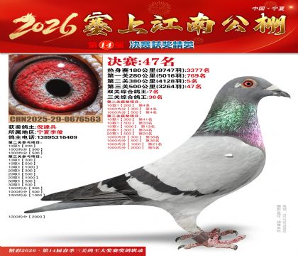 ���Ͻ��Ͼ���47��