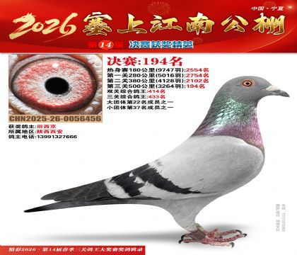 ���Ͻ��Ͼ���194��