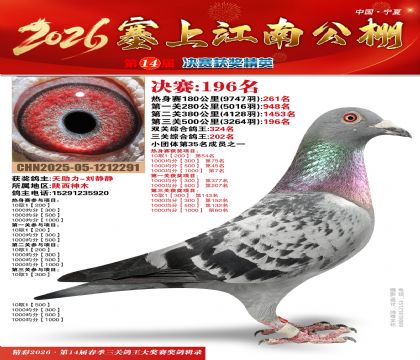 ���Ͻ��Ͼ���196��