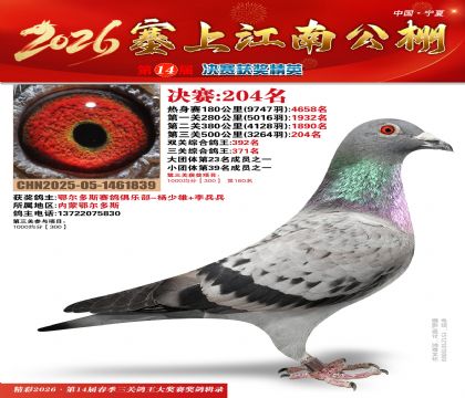 ���Ͻ��Ͼ���204��