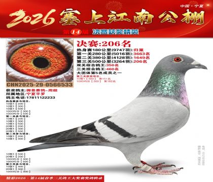 ���Ͻ��Ͼ���206��