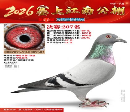 ���Ͻ��Ͼ���207��