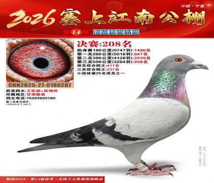 ���Ͻ��Ͼ���208��