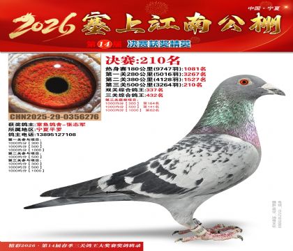 ���Ͻ��Ͼ���210��