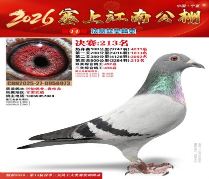 ���Ͻ��Ͼ���213��