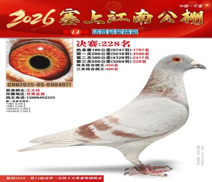 ���Ͻ��Ͼ���228��