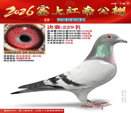 ���Ͻ��Ͼ���229��