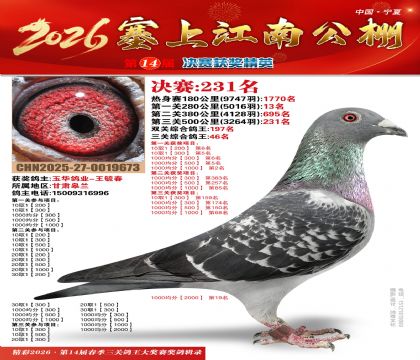 ���Ͻ��Ͼ���231��