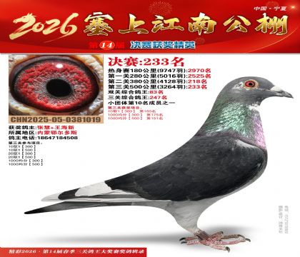 ���Ͻ��Ͼ���233��