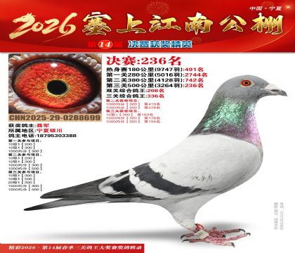 ���Ͻ��Ͼ���236��