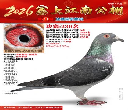 ���Ͻ��Ͼ���239��