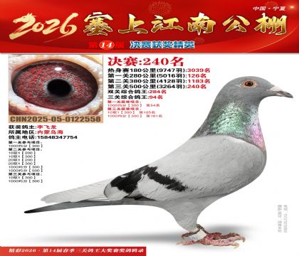 ���Ͻ��Ͼ���240��