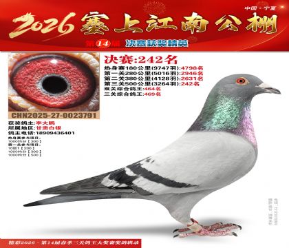 ���Ͻ��Ͼ���242��