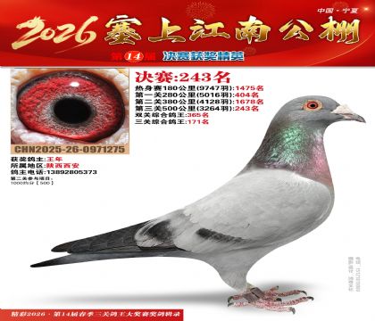 ���Ͻ��Ͼ���243��