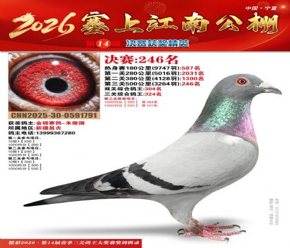 ���Ͻ��Ͼ���246��