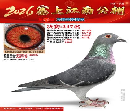 ���Ͻ��Ͼ���247��