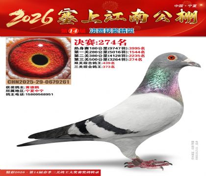 ���Ͻ��Ͼ���274��