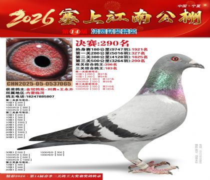 ���Ͻ��Ͼ���290��