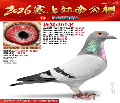 ���Ͻ��Ͼ���299��