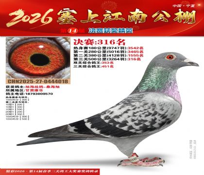 ���Ͻ��Ͼ���316��