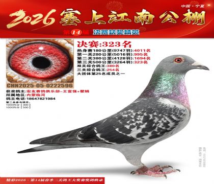 ���Ͻ��Ͼ���323��